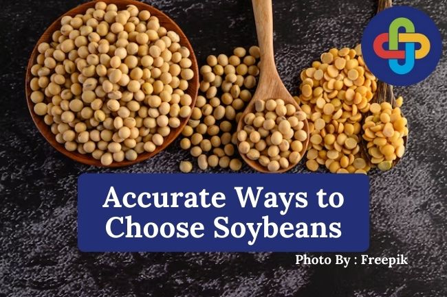  5 Accurate Ways to Choose Soybeans for High-Quality Soy Sauce